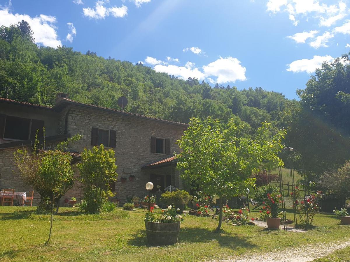 B&B Il Bagarello Palazzuolo Sul Senio Exterior photo